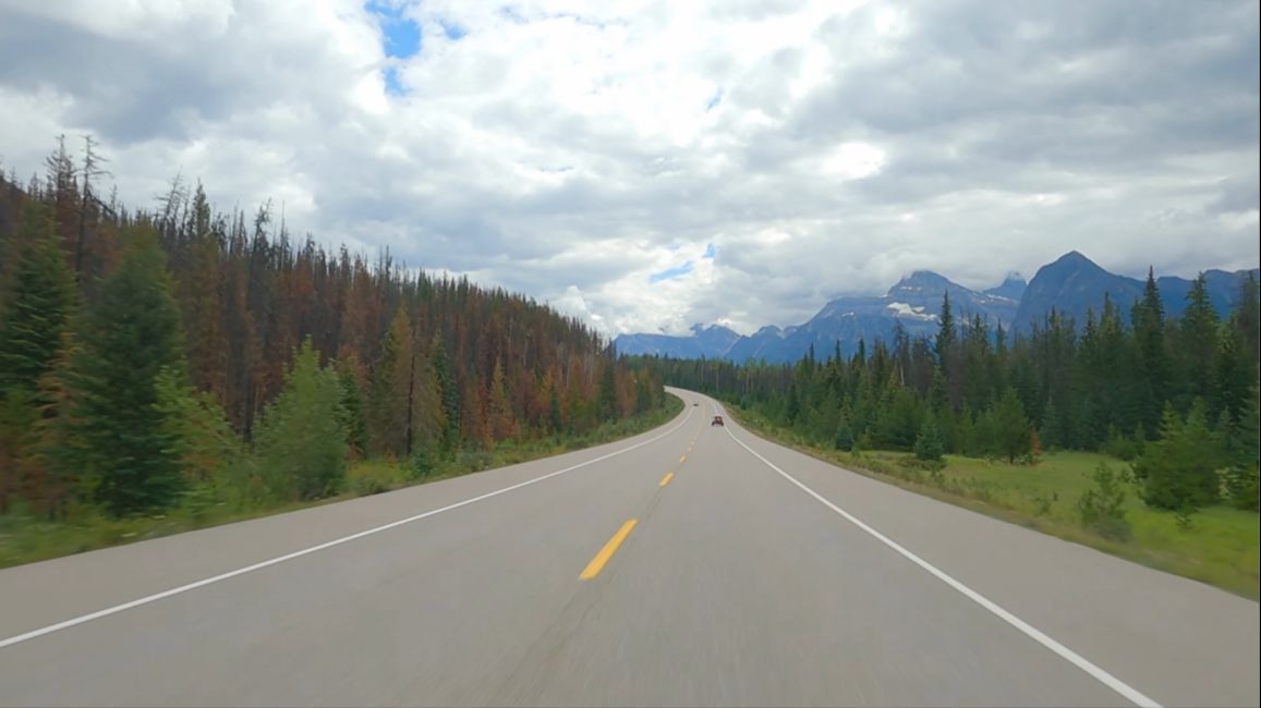 【4K 60FPS】驾驶在加拿大艾伯塔省贾斯珀（2025.11）