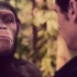 大猩猩竟然开口说话 还是悄悄话  爆笑