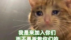 cad200edfb13cb92f3a1bc43c3dfe81d4989b83c.jpg@280w_158h_1c_100q.jpg