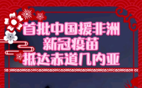 首批中国援非洲新冠疫苗抵达赤道几内亚哔哩哔哩 (゜゜)つロ 干杯~bilibili