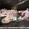 黄金小行星可让地球人均获得万亿美元，NASA行动计划已经获批黄金小行星可让地球人均获得万亿美元，NASA行动计划已经获批