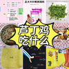 看这篇就够了！详细芦丁鸡吃什么？雏鸡出壳吃什么，吃什么产蛋好