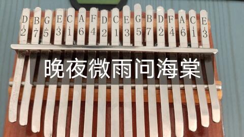 晚夜微雨问海棠陶笛曲谱_晚夜微雨问海棠曲谱(2)