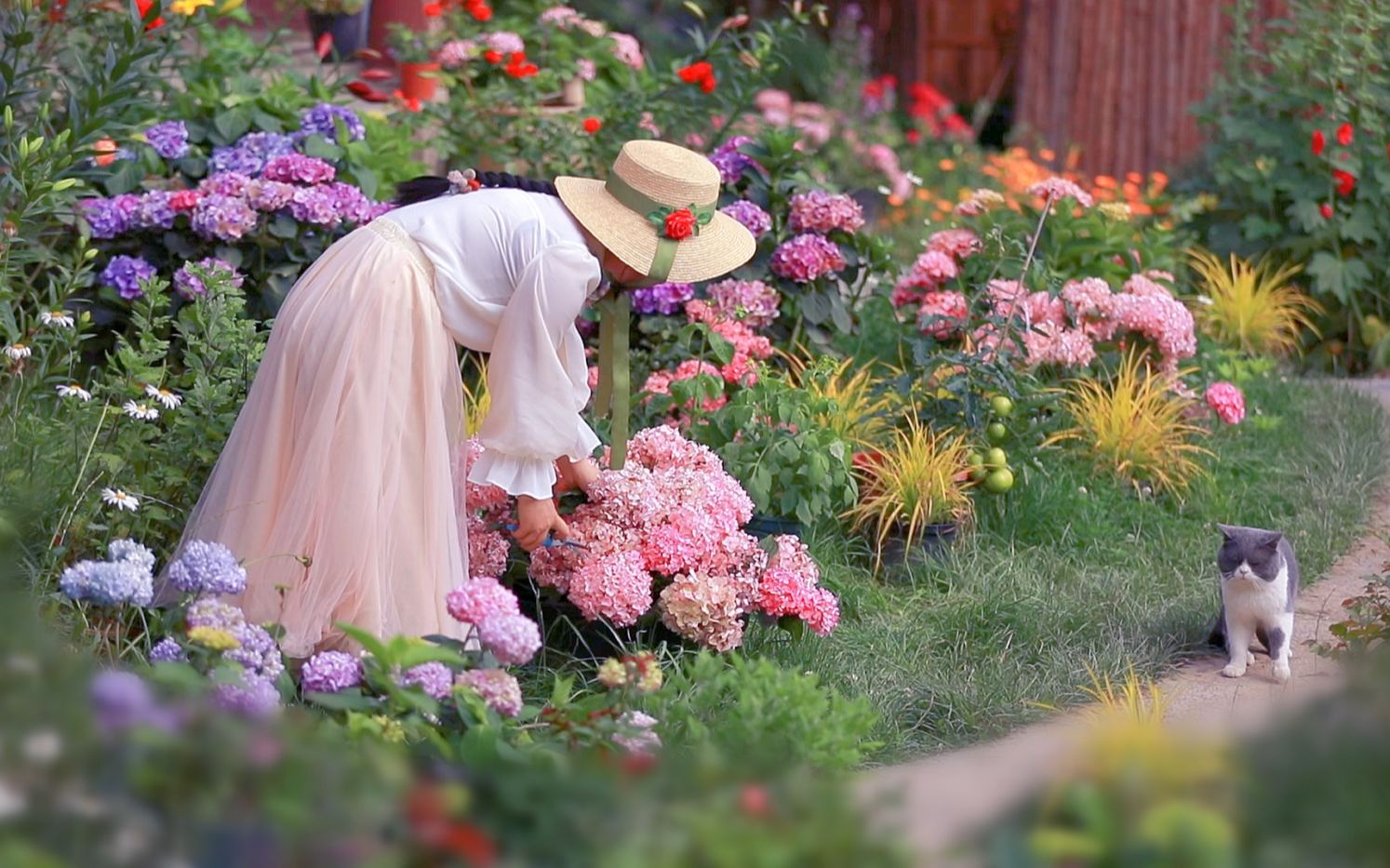 花园是怎样建成的？她用三年，在山里给自己打造了一个童话世界。