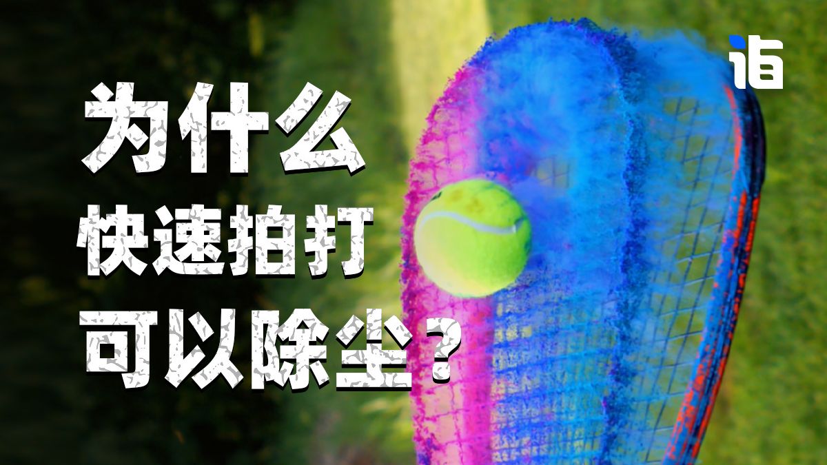 快速拍打为什么可以除尘？