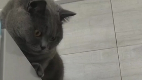 好看电影推荐搞笑最新 cafe165a291f2ab05323cb15c09b91a9dfc9e4be.jpg@280w_158h_1c_100q.jpg