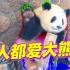 《 快 乐 熊 猫 图 鉴 》