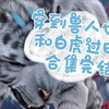 【剧版忘羡/博君一肖】穿到兽人世界和白虎过日子‖憨憨白虎兽人湛✘小美人猫咪亚兽羡‖原始兽人文学 甜宠he合集已完结