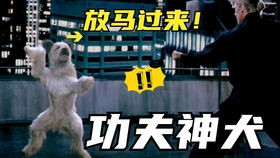 cb566a753dc70bd35782fa942020d85f2a43d6a1.jpg@280w_158h_1c_100q.jpg