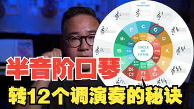 【纯干货】<em class="keyword">半音阶口琴</em>上转12个调演奏的秘诀