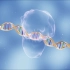 【生物】DNA重组