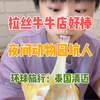 宁曼路牛牛拉丝店真不错，清迈夜间动物园很无语