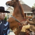 【MV首播】Lil Nas X冠单《Old Town Road》