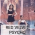【跟着爱豆来跳舞】Red Velvet 《Psycho》一小时舞蹈合集|镜面|运动向