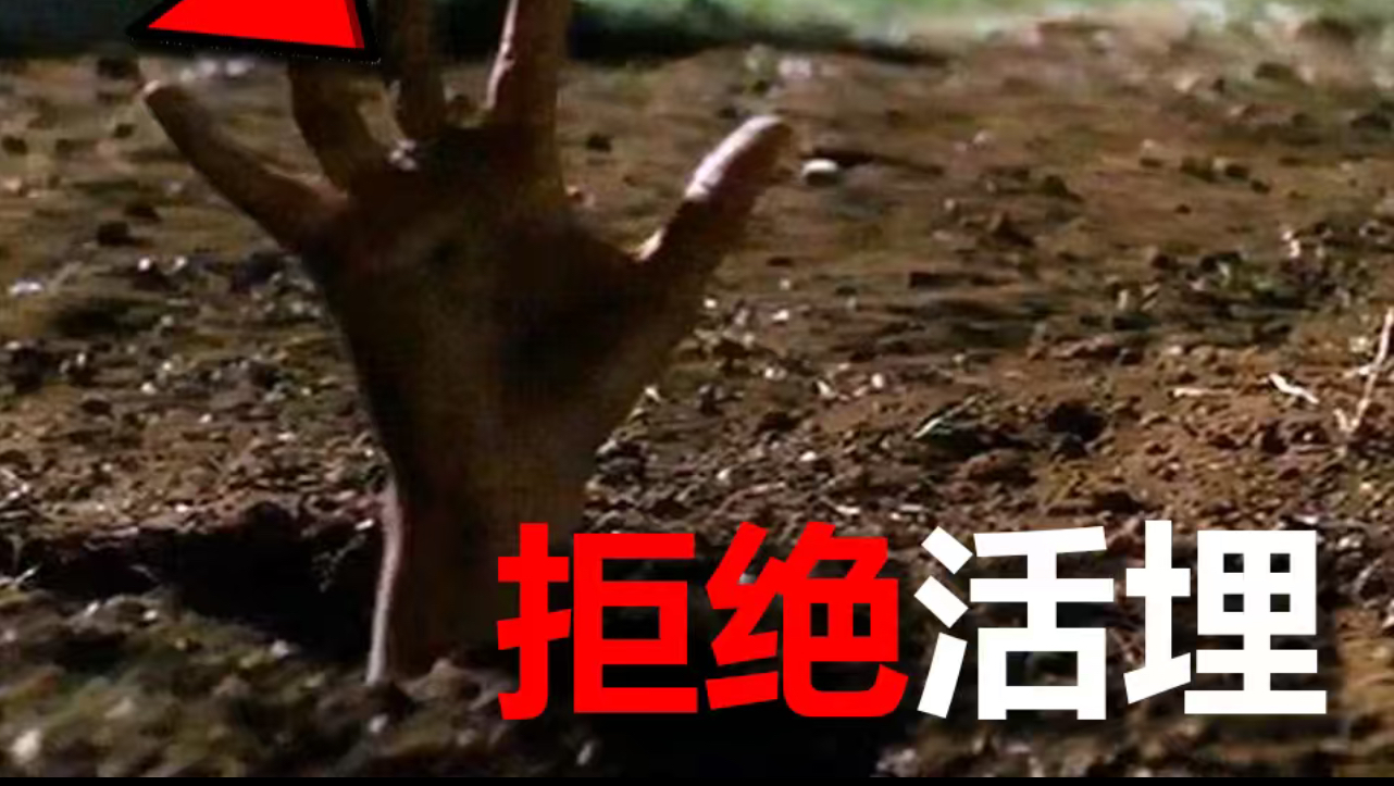 拒绝活埋，这个行吗？