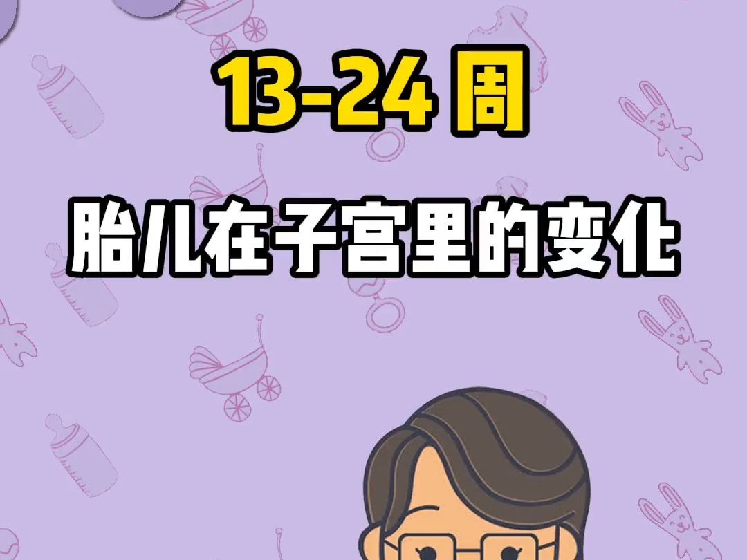 1324周胎儿在子宫里的变化哔哩哔哩bilibili