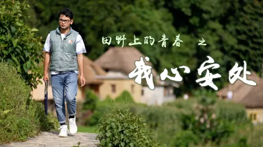 田野上的青春：我心安处