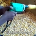 农民大叔发明电钻剥玉米机，一天能剥6亩地玉米，10块钱造一个。