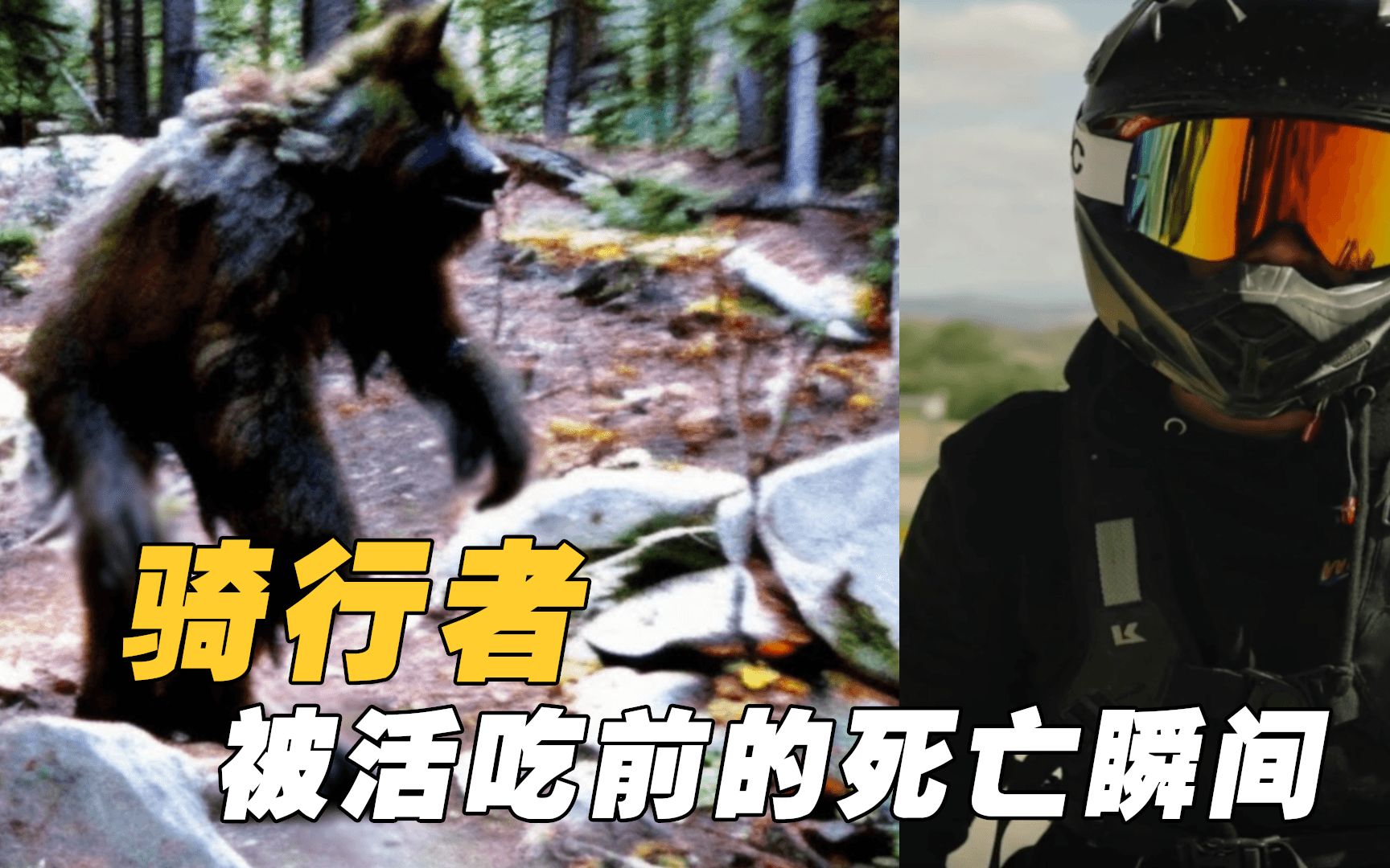 【动物活吃人类】骑手被活吃前的死亡瞬间，镜头记录了一些登山旅者的可怕遭遇