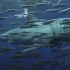 大白鲨游过鱼群