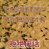 你是兄弟姐们当中跑的最快的那个吗