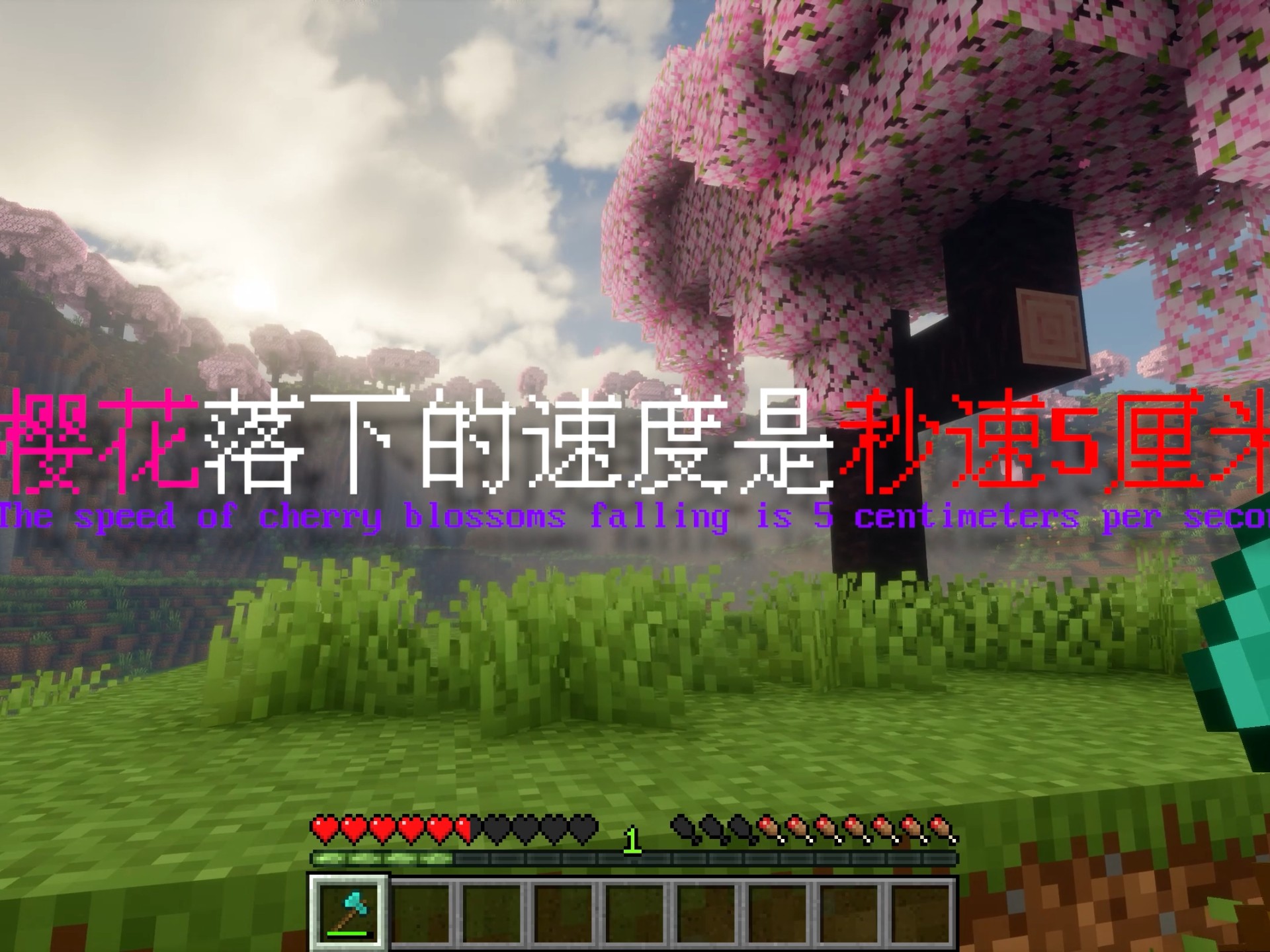 字幕下载