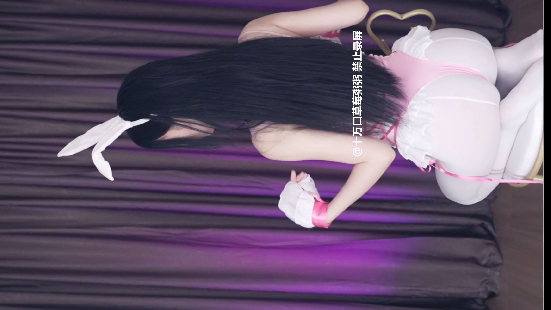 White Pantyhose Bunny (Half) [Live Clip]