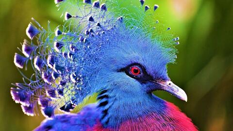 cc2ad92b3f73852c309bf6e6904b54121cc767f7.jpg@480w_270h_1c