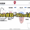 自用| RNA提取（TRIzol法