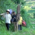 贵州加榜梯田，一个小众但值得的绿色世界