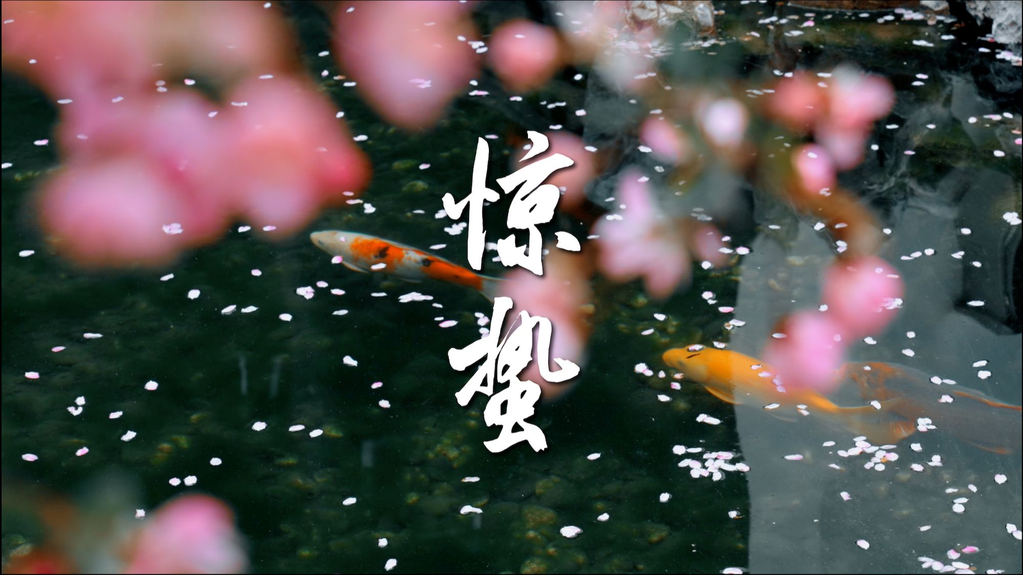 惊蛰｜万物萌醒，与春同频