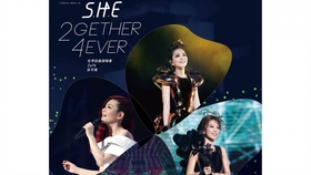 美丽新世界she曲谱_美丽新世界she图片(2)
