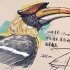 【产品设计手绘】原创犀鸟仿生设计-水果刀设计马克笔表现
