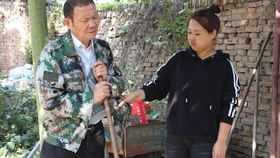 夫人的反击——一部引人入胜的短剧免费观看，夫人的反击，免费观看的精彩短剧