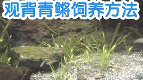 cc823cde9874d5227e21f26ebddf2f9553ea2d6d.jpg@280w_158h_1c_100q.jpg
