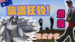 cc89e98dfff607632e30e4294ff07b321145acbb.jpg@310w_174h_1c_100q.jpg
