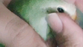 cc9d72c485b28051c0c5e2864eca7c1bbab836ca.jpg@280w_158h_1c_100q.jpg