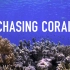 【Netflix】【纪录片】追逐珊瑚.1080p