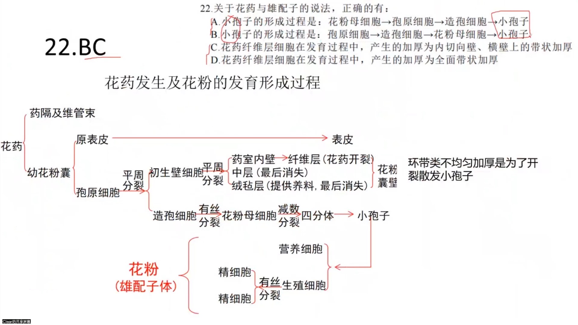 【YCBO III】愿程2024夏季联考解析第二部分