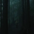 在迷雾森林中行走