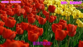 ccd1adad55a7adb1b9cb582af944c30986b85079.jpg@280w_158h_1c_100q.jpg