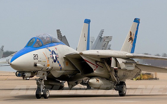2006 F 14D VF 213 Black Lion Final Tomcat Cruise bilibili