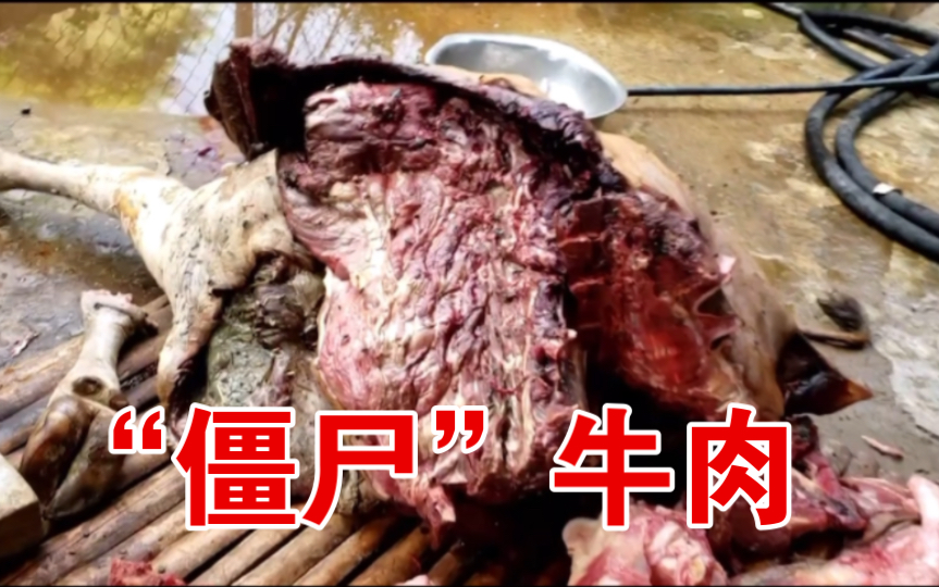 越南美食【僵尸牛肉】选用自然腐烂15天的优质牛肉