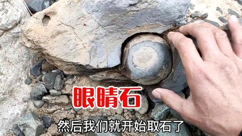 cce0111070e05194a1fb1de0e0175a378781c9da.jpg@480w_270h_1c