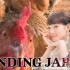 【JolFamily】南条爱乃旁白 FINDING JAPAN 东北三县陆奥Project