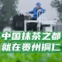 贵州抹茶出口量中国第一、全球第三！网友“什么？你说的是···抹茶？！”