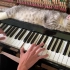 The best lullaby for cat (Meowssage)