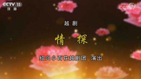 <em class="keyword">越剧</em>《<em class="keyword">情 探</em>》高清版 (陈飞、徐标新主演)