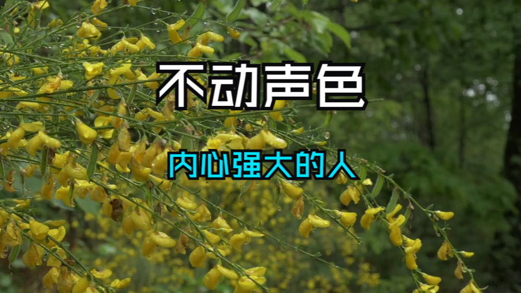 内心强大的人，都有这个特征：不动声色！