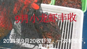 cd0d9660b549920d378e0ece978938cb2015a6ce.jpg@280w_158h_1c_100q.jpg